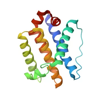 Anticorpo Policlonale Anti-BOK Coniglio per WB, IF/ICC, IHC-P, ELISA - Q9UMX3