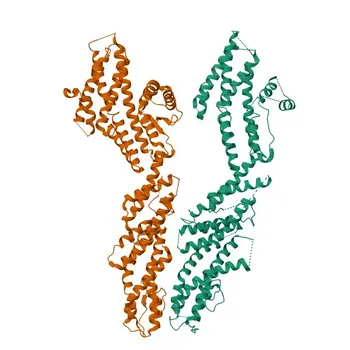 Anti-TUBGCP5 Polyclonal Antibody for WB, ELISA - Q96RT8