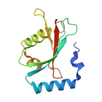 Anticorpo policlonale anti-GABARAPL2 per WB, ELISA - P60520