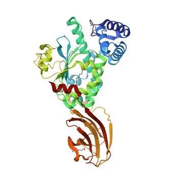 Anti-SEC14L2 Polyclonal Antibody for IHC-P, ELISA - O76054
