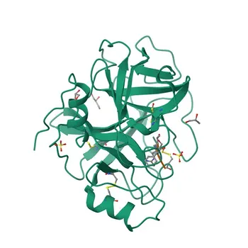 Anti-PRSS8 Rabbit Polyclonal Antibody for WB, IF/ICC, ELISA - Q16651