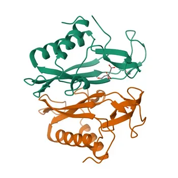 Anticorpo Policlonale di Coniglio Anti-DTX3L per WB, IF/ICC, ELISA - Q8TDB6