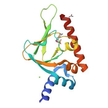 Anticorpo policlonale anti-PRKG2 per WB, IF/ICC, IP, ELISA - Q13237