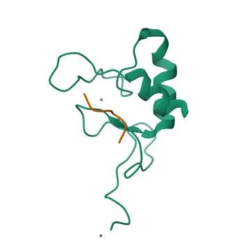 Anti-VGLL4 Polyclonal Antibody for WB, ELISA - Q14135