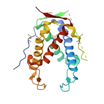Anticorpo Policloonal Anti-RYR1 para WB, ELISA - P21817