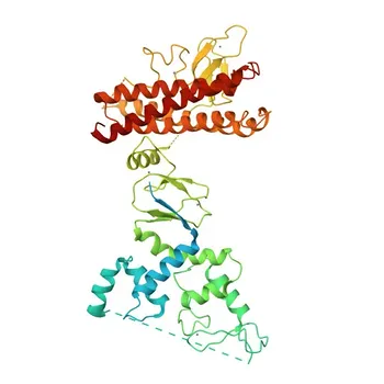 Anti-ARIH1 Rabbit Polyclonal Antibody for WB and ELISA - Q9Y4X5