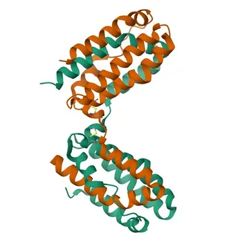 IL10 Rabbit pAb for WB and ELISA - P18893