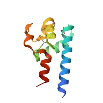 Anti-CD81 Rabbit Polyclonal Antibody for WB, ELISA - P35762