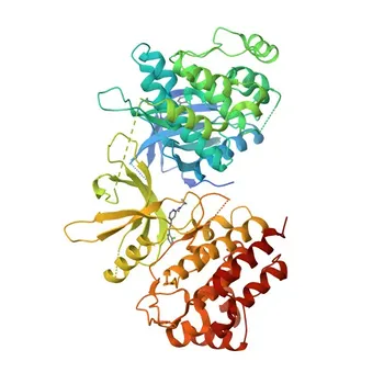 Phospho-Tyk2 (Y1054/1055) Kaninchen-Polyklonaler Antikörper für WB und ELISA - P29597