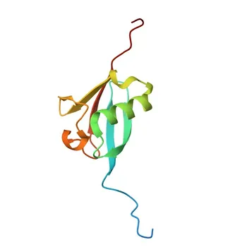 Anti-UBQLN3 Polyclonal Antibody for WB, IF-P, ELISA - Q9H347