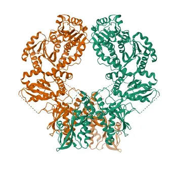 Anti-SLFN11 Rabbit Polyclonal Antibody for WB, ELISA - Q7Z7L1