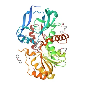 Anticorpo policlonale Anti-PTGR3/ZADH2 per WB, IHC-P, ELISA - Q8N4Q0
