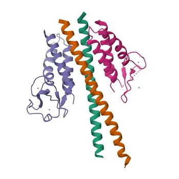 Anti-MSL1 Rabbit Polyclonal Antibody for WB, ELISA - Q68DK7