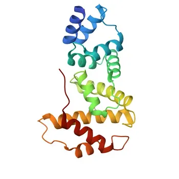 Anticorpo policlonale Anti-Citoesina-1 (CYTH1) per WB, IF/ICC, ELISA - Q15438