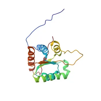 Anticorpo Policlonale di Coniglio Anti-GADD45A per WB, IHC-P, ELISA - P24522