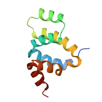 Anti-FADD Polyclonal Antibody for WB, IP, IF-P, ELISA - Q61160