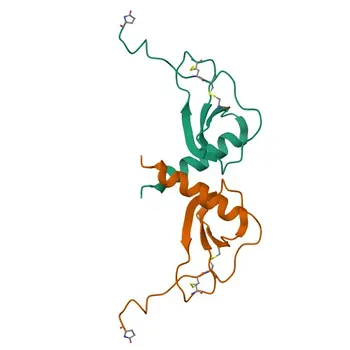 Anticorpo Policlonico de Coelho Anti-CCL8/MCP-2 para Western Blot - P80075