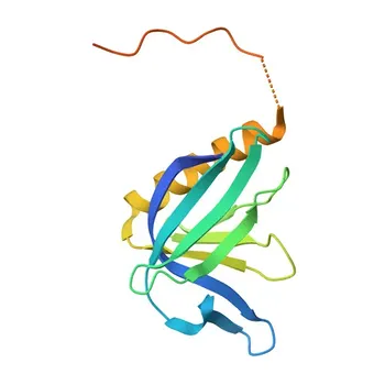 Anticorpo policlonale anti-ABI1 per WB, IHC-P, ELISA - Q8IZP0