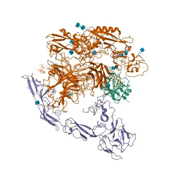 Anti-PRG2-Kaninchen-polyklonaler Antikörper für WB, IF-P, ELISA – P13727
