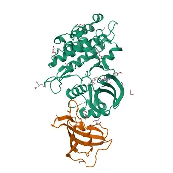 Anti-FKBP1B Polyclonal Antibody for WB, IHC-P, IF/ICC, ELISA - P68106