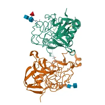 Anticorpo policlonale anti-SUMF2 per WB, IF/ICC, ELISA - Q8NBJ7