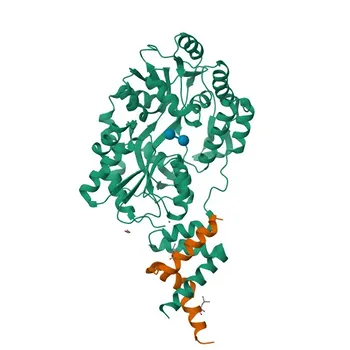 Anti-NCOA3 Rabbit Polyclonal Antibody for WB, IP, ELISA - Q9Y6Q9