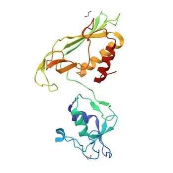 Anticorpo policlonale coniglio anti-DTX1 per WB, ELISA - Q86Y01