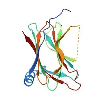 Anti-ACBD3 Polyclonal Antibody for WB, IF/ICC, ELISA - Q9H3P7