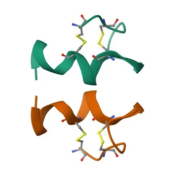 Anti-EDN1 Polyclonal Antibody (KO Validated) for WB, IF/ICC, ELISA - P05305