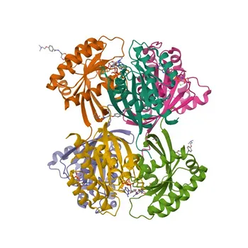 Anticorpo Policlonial de Coelho Anti-Fosfo-KRAS-S89 para WB, IHC-P, ELISA - P01116