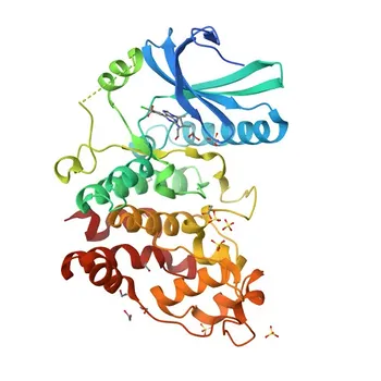 Anticorpo policlonale di coniglio Anti-SRPK2 per WB e ELISA - P78362