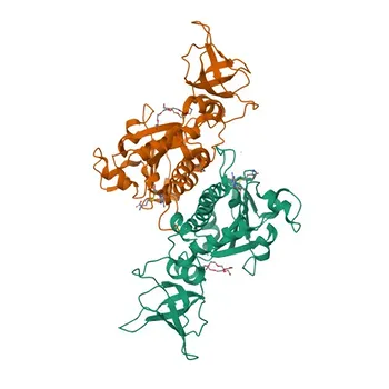 Anticorpo Policlonale di Coniglio Anti-C9orf114 per WB, IHC-P, ELISA - Q5T280