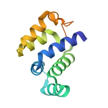 Anti-ANK3 Polyclonal Antibody for IF/ICC, ELISA - Q12955