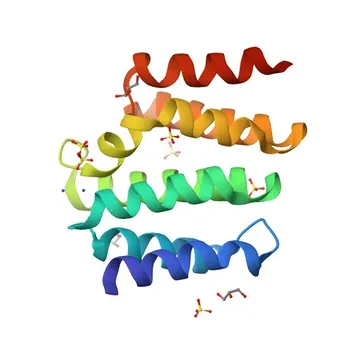 Anti-SCAF8 (RBM16) Rabbit Polyclonal Antibody for WB, ELISA - Q9UPN6