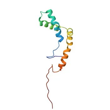 Anti-PMS1 Rabbit Polyclonal Antibody for WB, ELISA - P54277