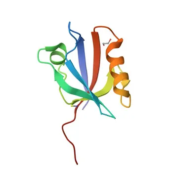 Anticorpo policlonale anti-SLC9A3R2 per WB, ELISA - Q15599