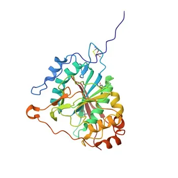 Anti-B4GALT1 Rabbit Polyclonal Antibody for WB and ELISA - P15291