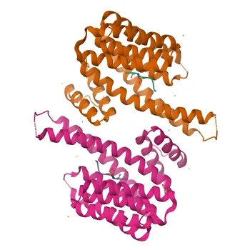 Phospho-PLN-T17 Rabbit pAb - P26678