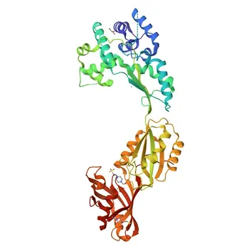 Anti-PUS10 Polyclonal Antibody for WB and ELISA - Q3MIT2