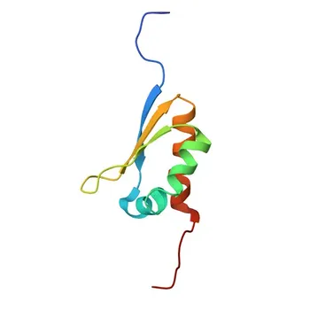 Anti-MEX3D Polyclonal Antibody for WB, ELISA - Q86XN8