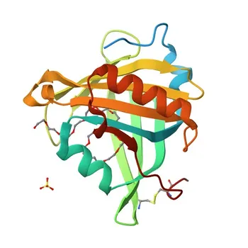 Anti-PTGDS Polyclonal Antibody for WB, IF/ICC, ELISA - P41222