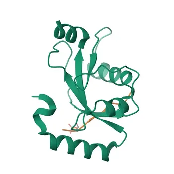 Anti-FUNDC1 Polyclonal Antibody for WB - Q8IVP5