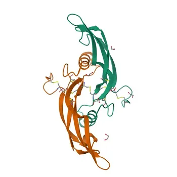 Anti-GDF15 Polyclonaler Antikörper für IF/ICC, ELISA - Q99988