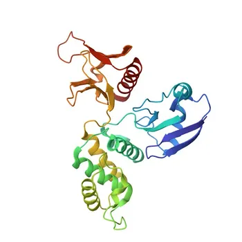 Anticorpo policlonale di coniglio anti-EPB41 per WB, IP, ELISA - P11171