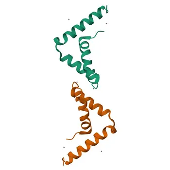 Anti-SOX17 Rabbit Polyclonal Antibody for WB, ELISA - Q9H6I2