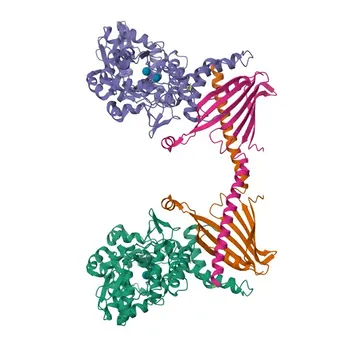 Anti-PRELID3B Rabbit Polyclonal Antibody for WB, ELISA - Q9Y3B1