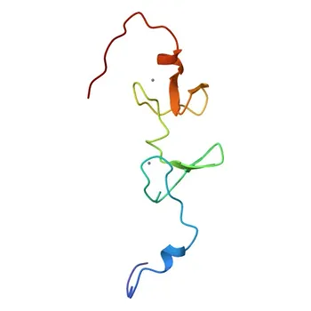 Anti-ABLIM2 Rabbit Polyclonal Antibody for WB, ELISA - Q6H8Q1