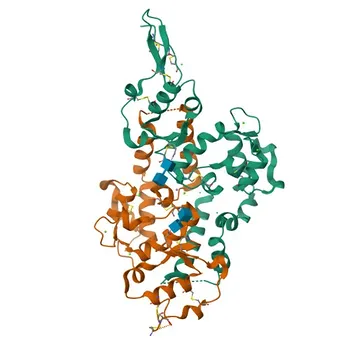 Anti-SPARCL1 Rabbit Polyclonal Antibody for WB and ELISA - Q14515