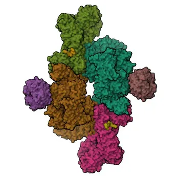 Anticorpo Monoclonal de Coelho Anti-Fosfo-eIF4EBP1 (T70) para WB, ELISA - Q13541