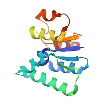 SMG5 Rabbit pAb - Q9UPR3